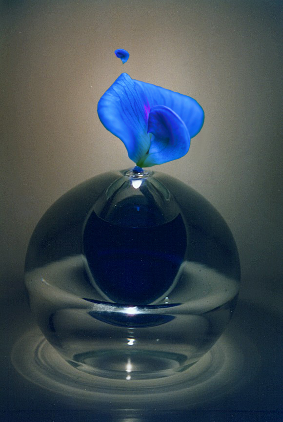 Diseño de Photoshop por geekyniki para DesignCrowd (Community Contests) | Diseño #9091931