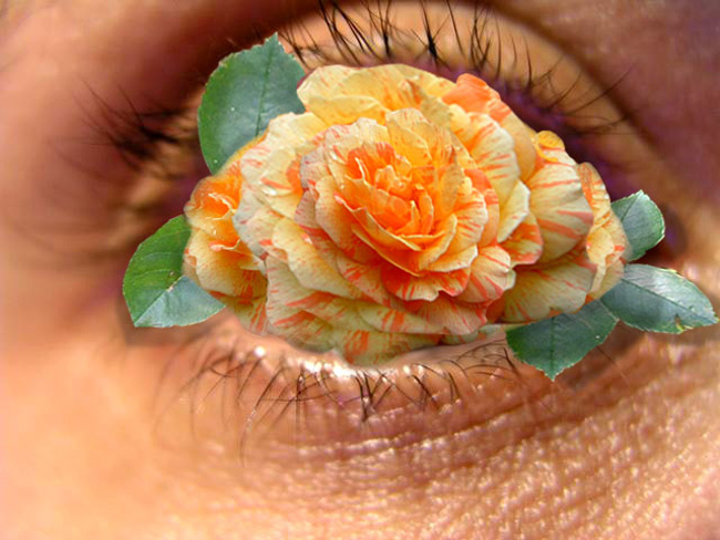 Photoshop Design by Terrence for DesignCrowd (Community Contests) | Design #9091851