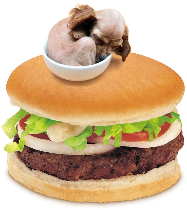 Design Photoshop par Pirciu pour DesignCrowd (Community Contests) | Design #9112454