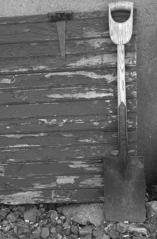 Photographie par squeakers pour DesignCrowd (Community Contests) | Design #9113979