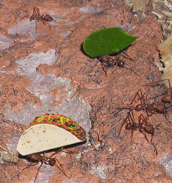 Design Photoshop par wippit pour DesignCrowd (Community Contests) | Design #9112457