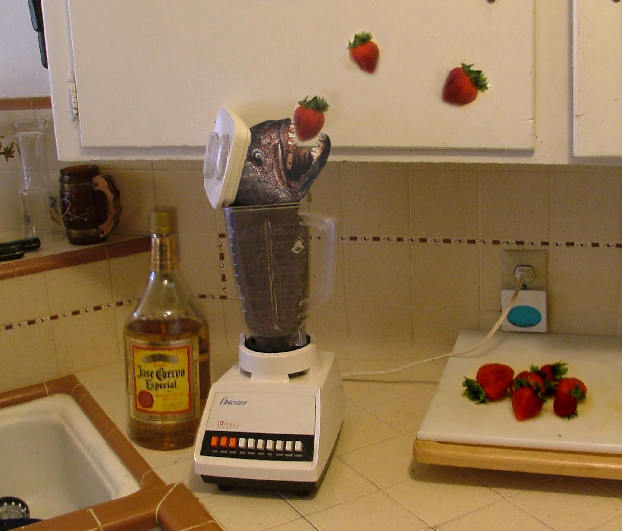 Photoshop Design by optima2112 for DesignCrowd (Community Contests) | Design #9089868