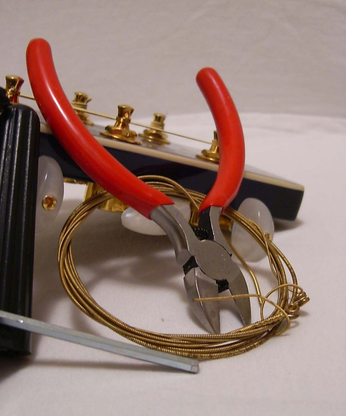 Photography by hephzibah for DesignCrowd (Community Contests) | Design #9113993