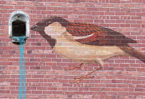 Photoshop Design by danibiazi for DesignCrowd (Community Contests) | Design #9114010