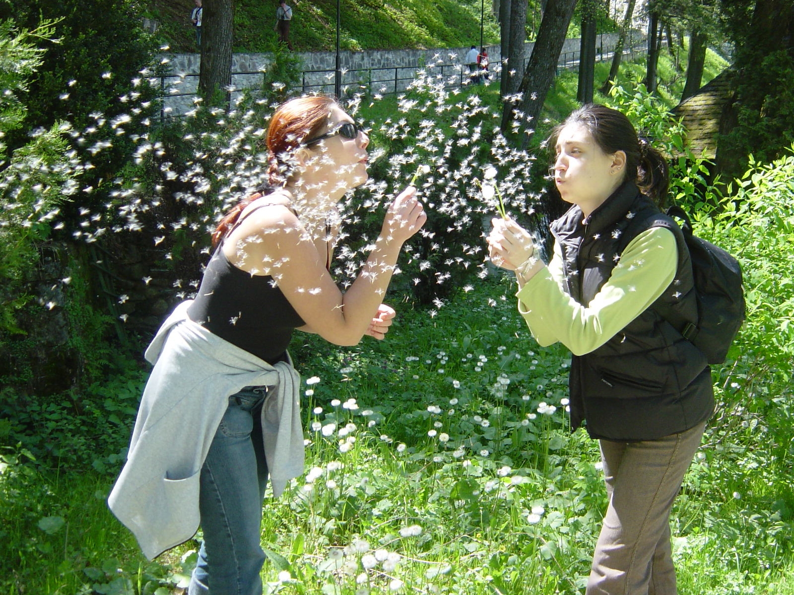 Photographie par andreiM pour DesignCrowd (Community Contests) | Design #9114702