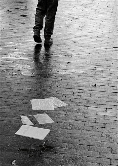 Photography by thesecretsharer for DesignCrowd (Community Contests) | Design #9114675