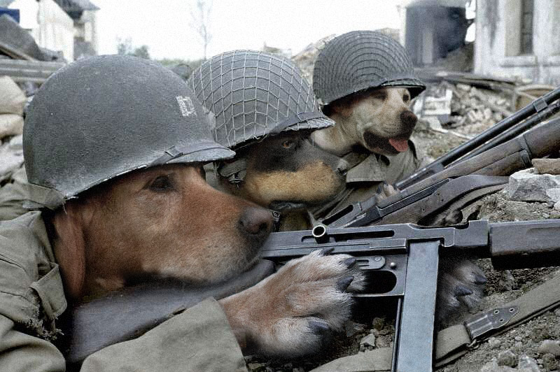 Photoshop Design by Grottzork for DesignCrowd (Community Contests) | Design #9098626