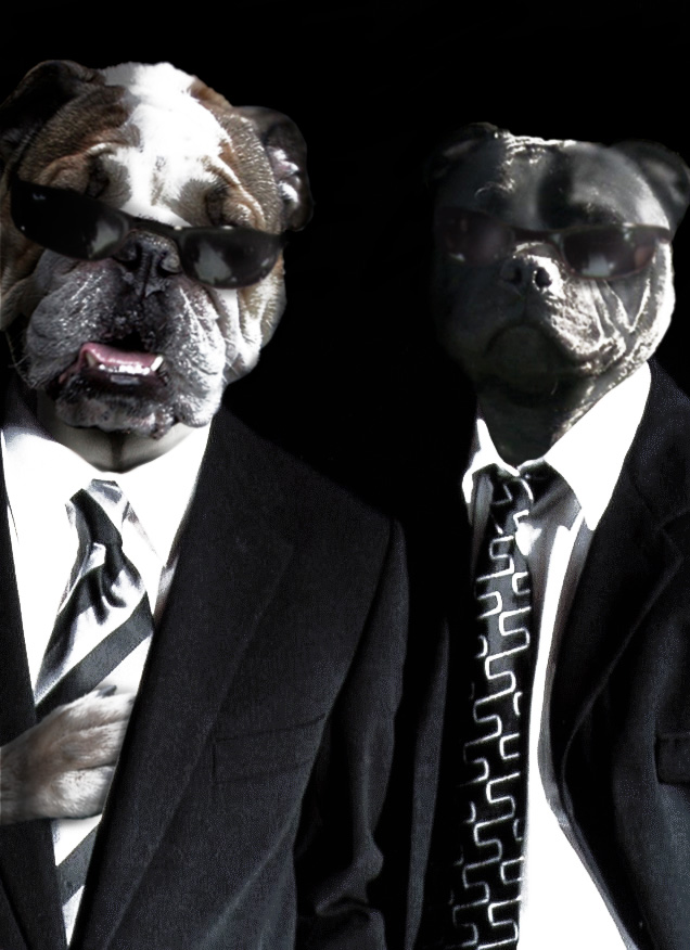 Photoshop Design by rafvdv for DesignCrowd (Community Contests) | Design #9119265