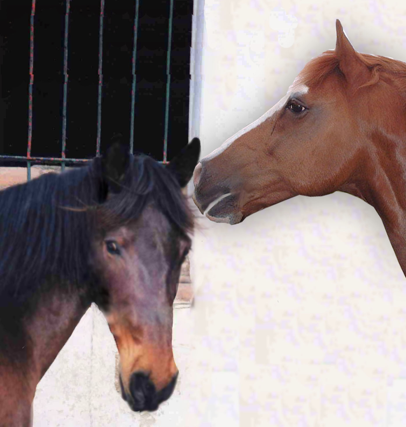 Photoshop-Design von LeMolstad für DesignCrowd (Community Contests) | Design #9098879