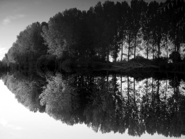 Fotografía por Adriana Draganescu para DesignCrowd (Community Contests) | Diseño #9099506