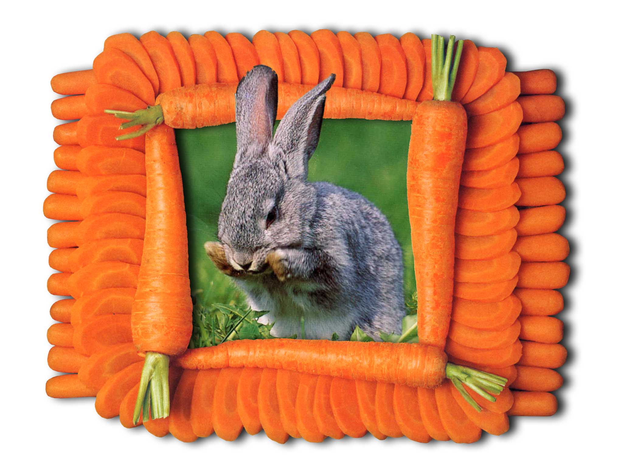 Photoshop-Design von UPUPUP für DesignCrowd (Community Contests) | Design #9098969