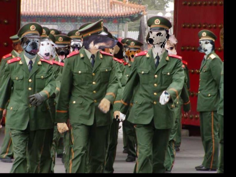 Photoshop Design by moonkee for DesignCrowd (Community Contests) | Design #9119275