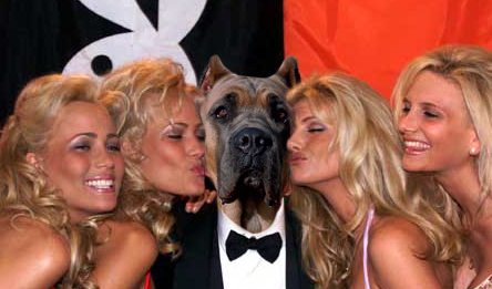 Photoshop Design by geekyniki for DesignCrowd (Community Contests) | Design #9119366