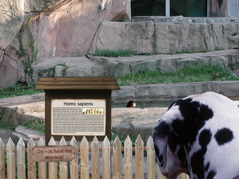 Photoshop Design by rootduck for DesignCrowd (Community Contests) | Design #9119448