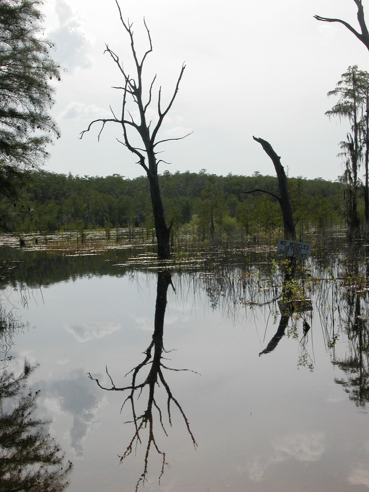 Fotografía por Jawizza para DesignCrowd (Community Contests) | Diseño #9099645