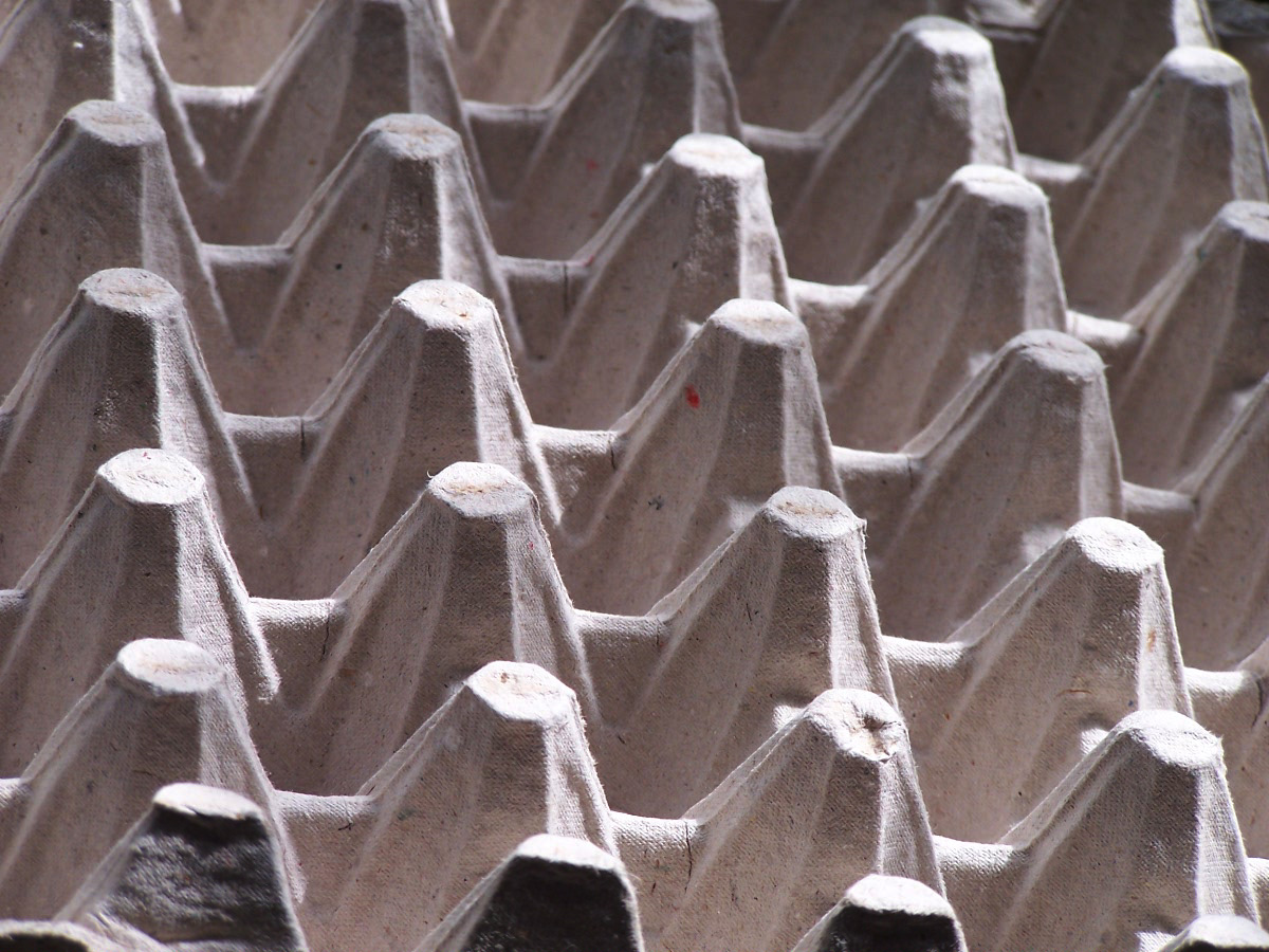 Fotografía por vgmn1956 para DesignCrowd (Community Contests) | Diseño #9099615