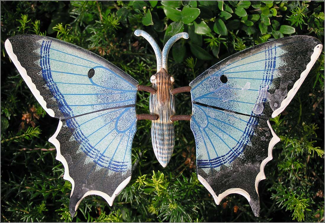 Fotografía por faragerri para DesignCrowd (Community Contests) | Diseño #9099668