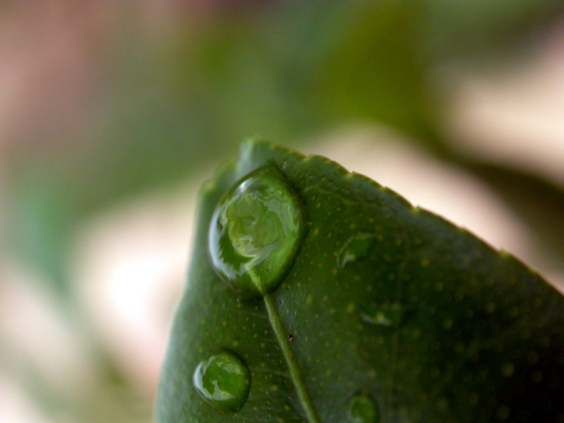 Photoshop Design by lucidgirl for DesignCrowd (Community Contests) | Design #9099099