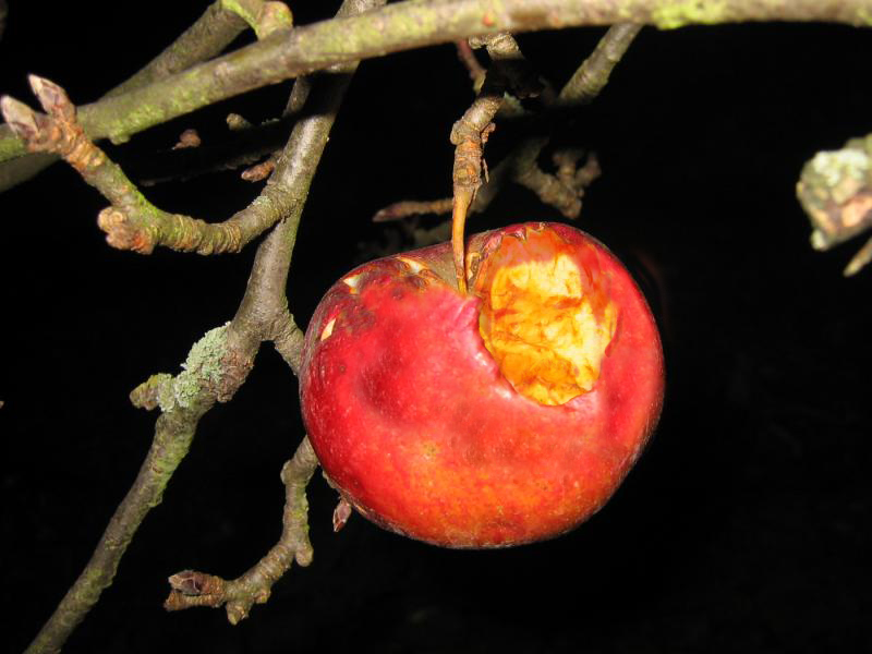 Photoshop Design by Marinvc for DesignCrowd (Community Contests) | Design #9099087