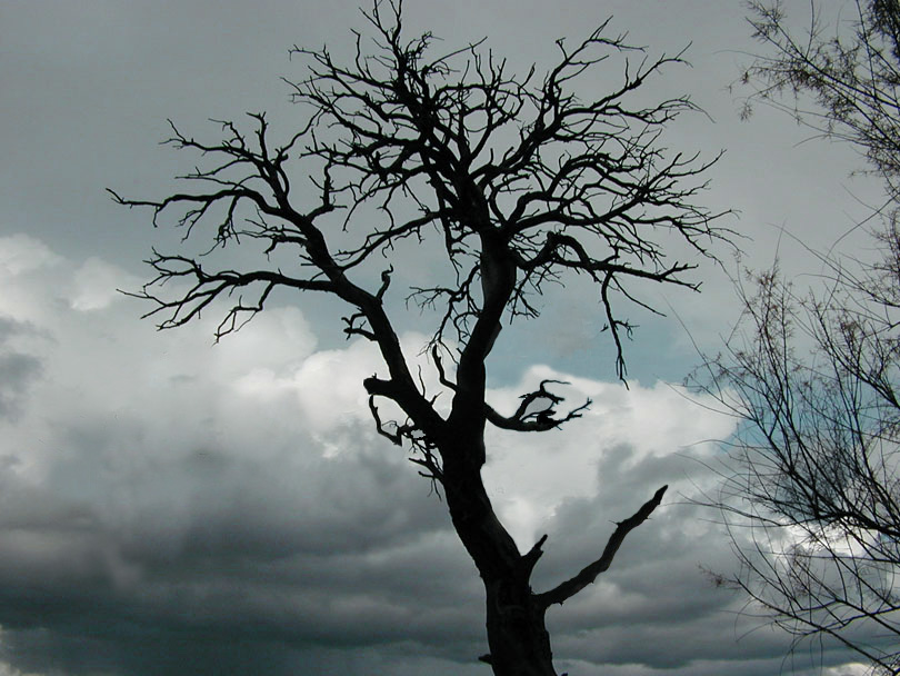 Design Photoshop par GraafVanFoto pour DesignCrowd (Community Contests) | Design #9099081