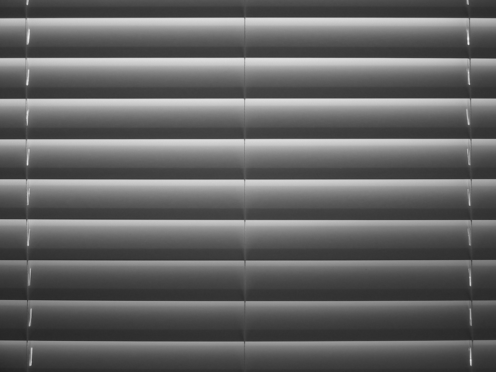 Fotografie von Tnerb1107 für DesignCrowd (Community Contests) | Design #9099656