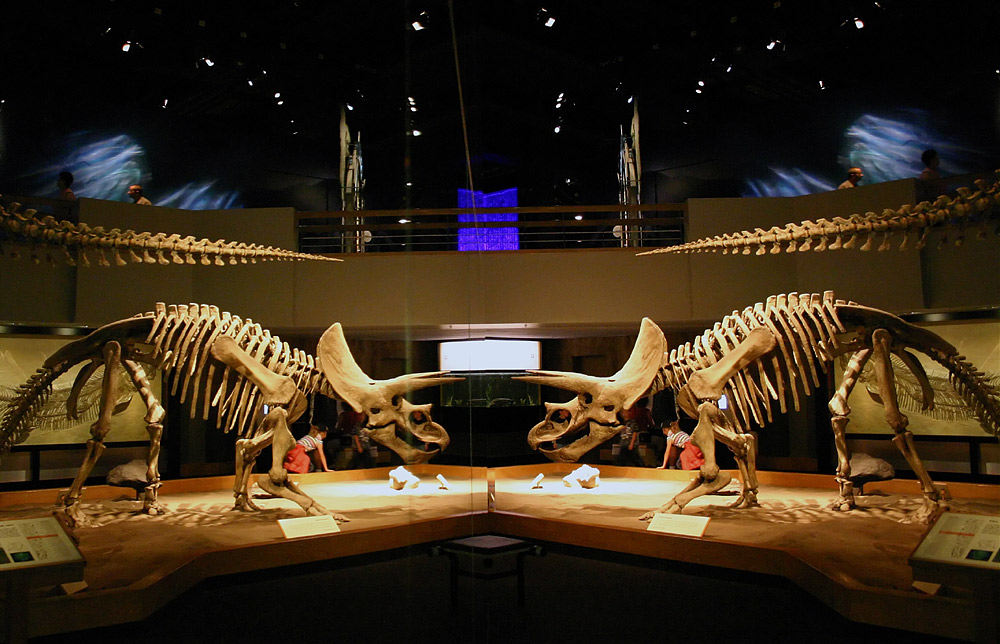 Photography by SigloV for DesignCrowd (Community Contests) | Design #9099638