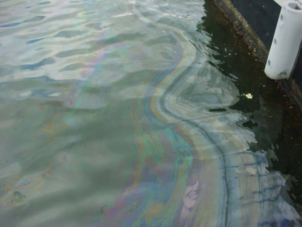 Design Photoshop par rjwh67220 pour DesignCrowd (Community Contests) | Design #9099137