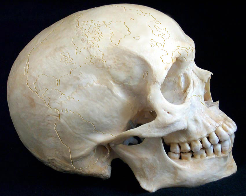 Design Photoshop par BullyBoy pour DesignCrowd (Community Contests) | Design #9092060