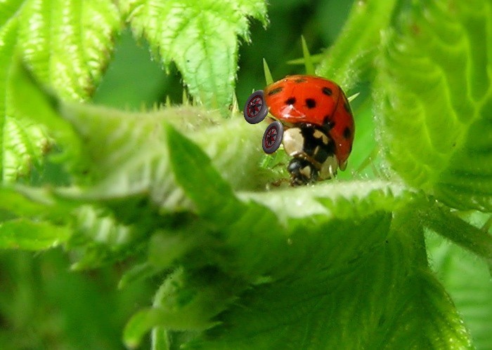 Design Photoshop par blendedfamily pour DesignCrowd (Community Contests) | Design #9092212