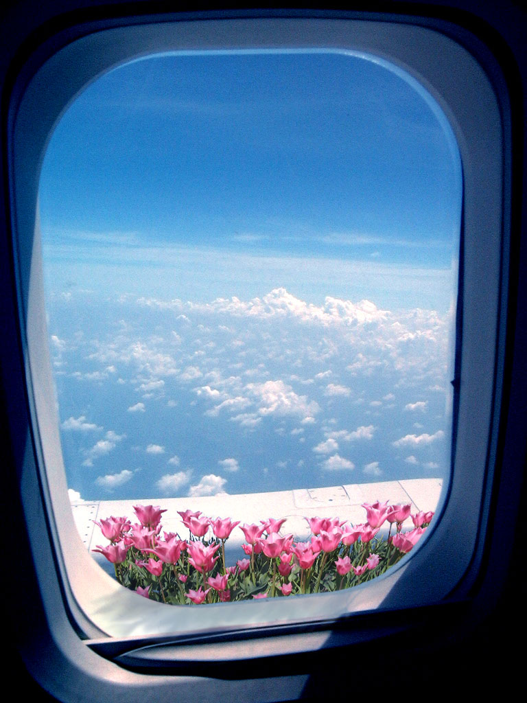 Photoshop Design by Meggie for DesignCrowd (Community Contests) | Design #9092200