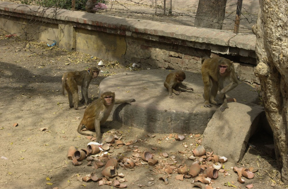 Photoshop Design by Kevertje for DesignCrowd (Community Contests) | Design #9092232