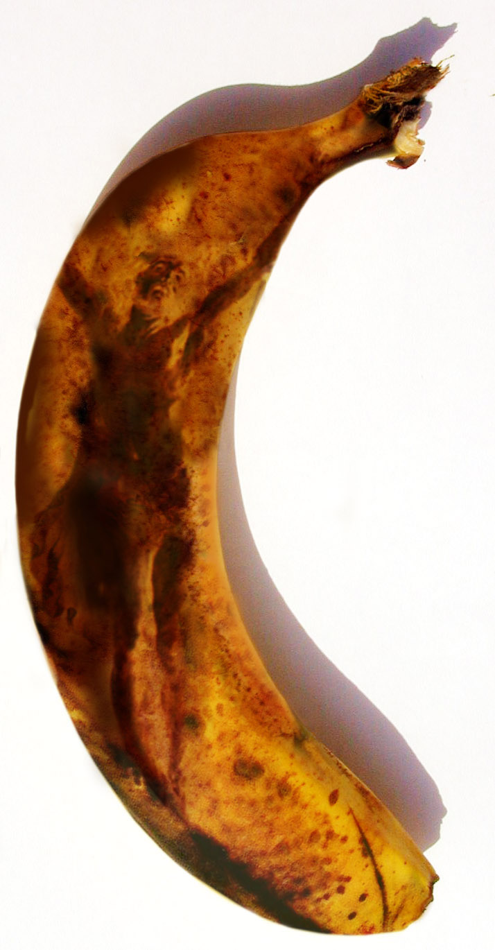 Photoshop Design by Norrit for DesignCrowd (Community Contests) | Design #9099293