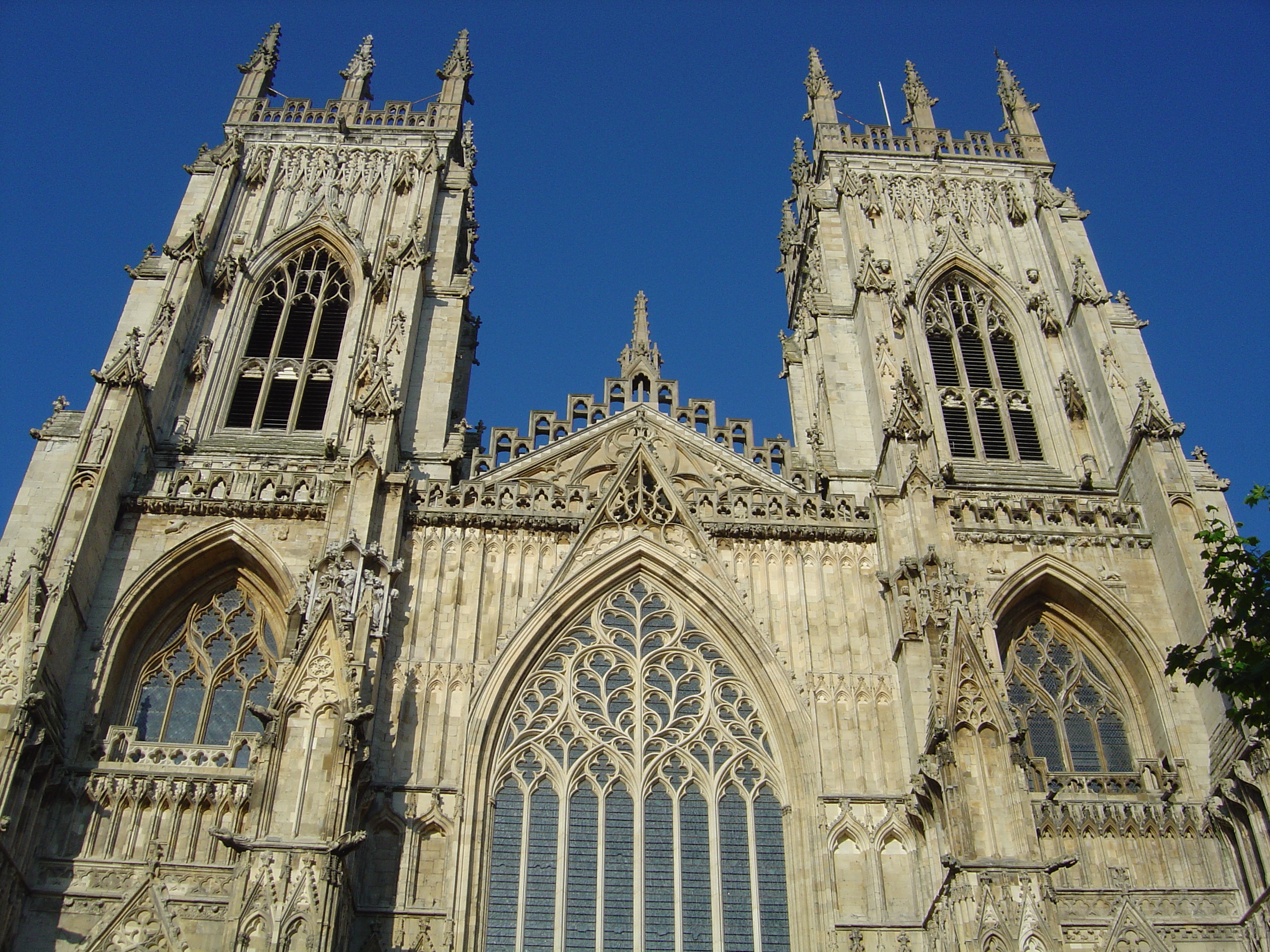 Photographie par treebloke pour DesignCrowd (Community Contests) | Design #9099643