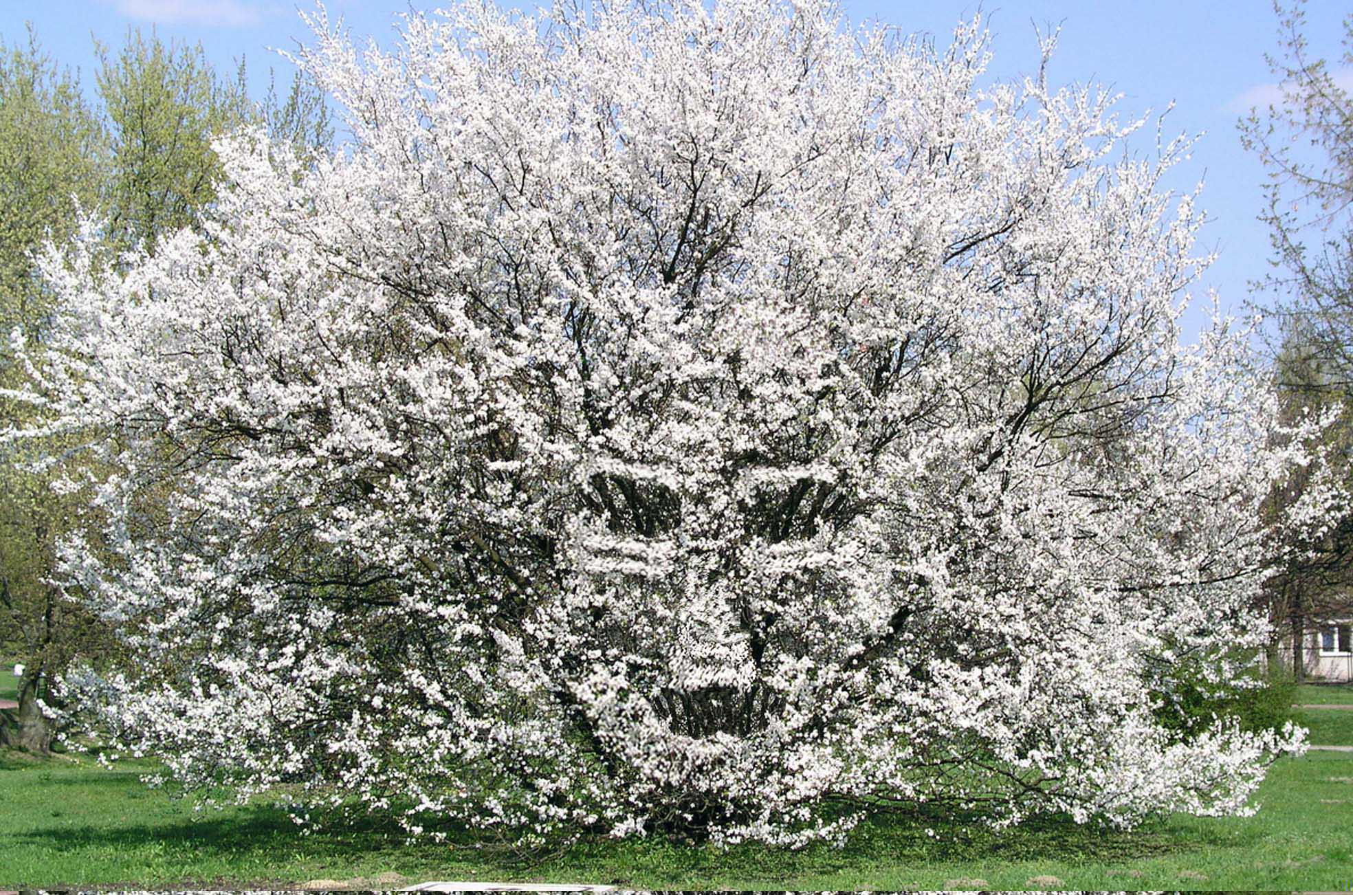 Photoshop-Design von UPUPUP für DesignCrowd (Community Contests) | Design #9099510