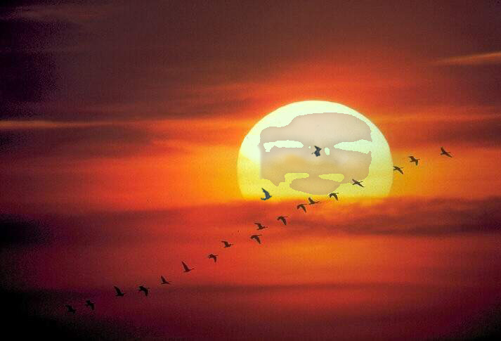 Design Photoshop par edozero pour DesignCrowd (Community Contests) | Design #9099539