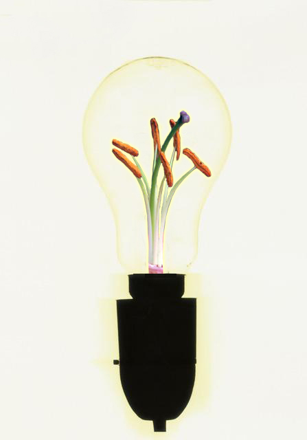 Photoshop Design by srinoo for DesignCrowd (Community Contests) | Design #9092354