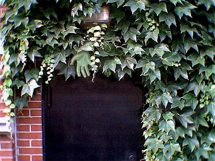 Photoshop Design by Nana for DesignCrowd (Community Contests) | Design #9092522