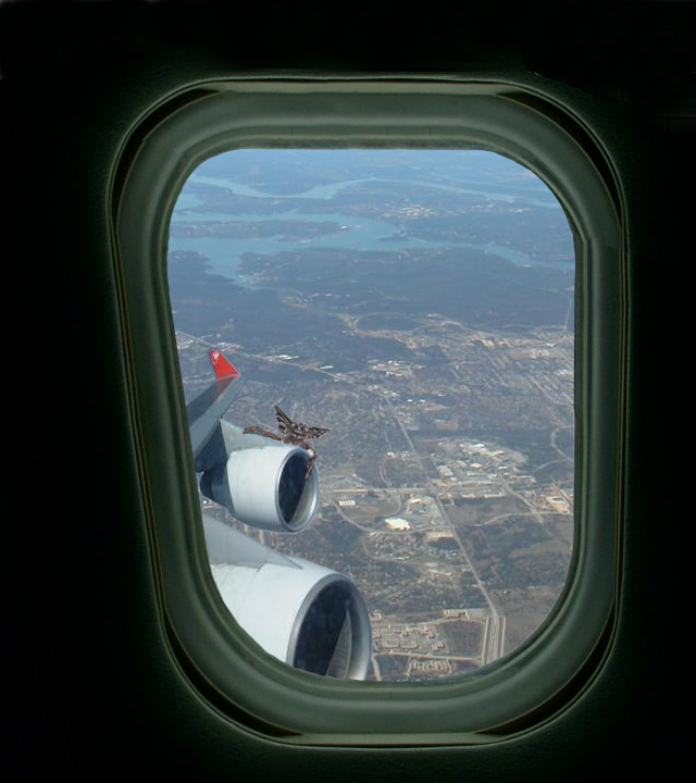 Photoshop Design by duragg for DesignCrowd (Community Contests) | Design #9092537