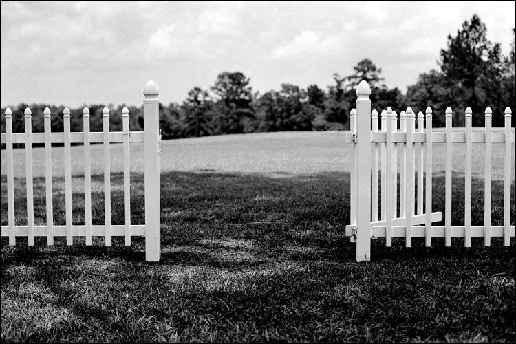 Photography by thesecretsharer for DesignCrowd (Community Contests) | Design #9099745