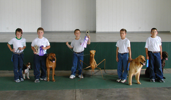 Design Photoshop par ehrinn pour DesignCrowd (Community Contests) | Design #9089973