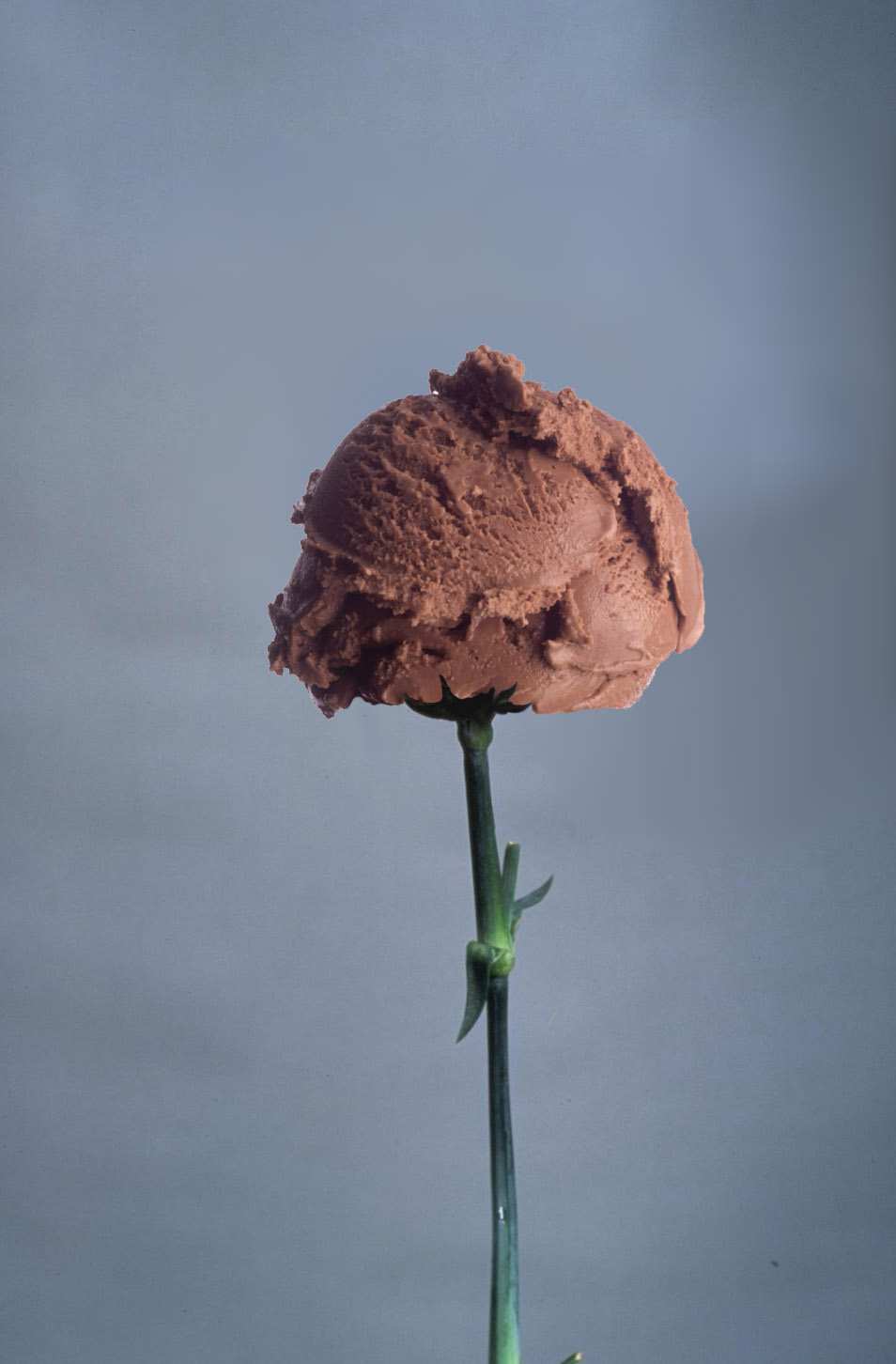 Design Photoshop par carthe pour DesignCrowd (Community Contests) | Design #9111573