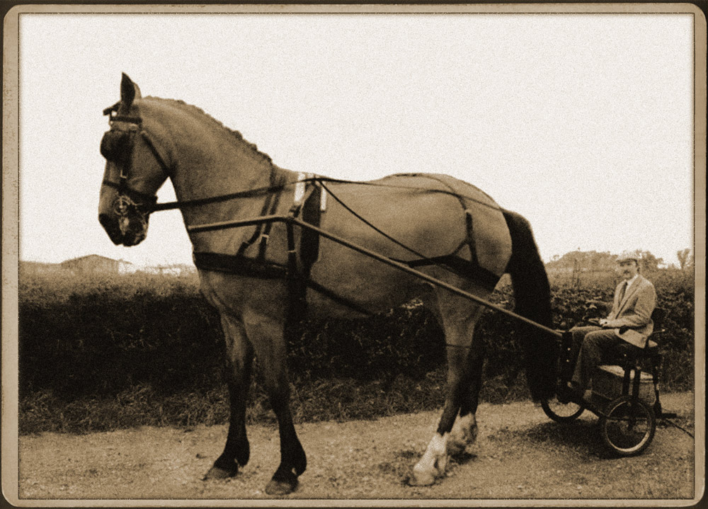 Diseño de Photoshop por Redbull_UK para DesignCrowd (Community Contests) | Diseño #9089962