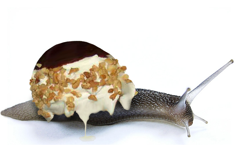 Design Photoshop par godzillatemple pour DesignCrowd (Community Contests) | Design #9111597