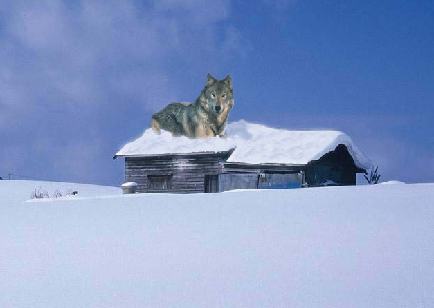 Diseño de Photoshop por pojkensimon para DesignCrowd (Community Contests) | Diseño #9090136