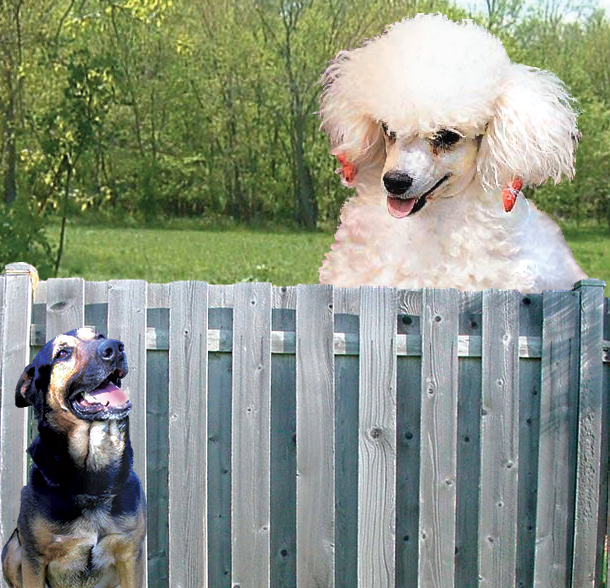 Photoshop Design by duchossois for DesignCrowd (Community Contests) | Design #9090127