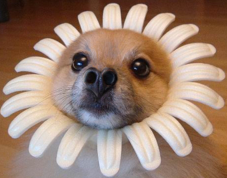 Photoshop Design by Tori2004 for DesignCrowd (Community Contests) | Design #9118972