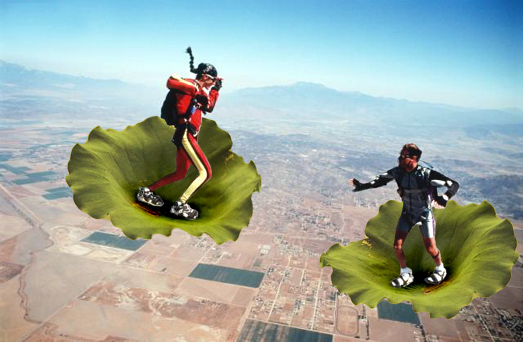 Photoshop Design by srinoo for DesignCrowd (Community Contests) | Design #9090303