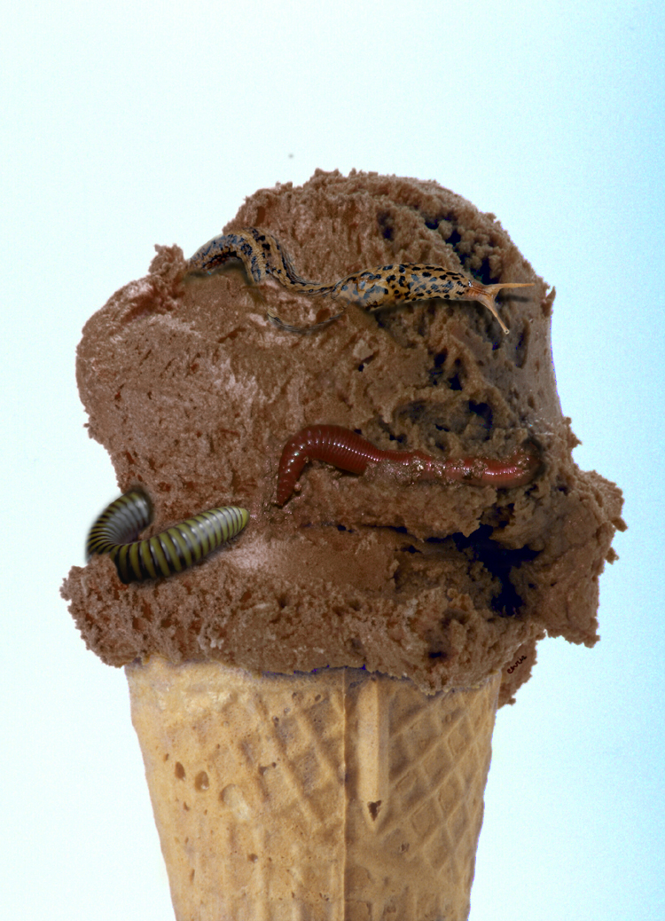 Design Photoshop par chris_ pour DesignCrowd (Community Contests) | Design #9111611