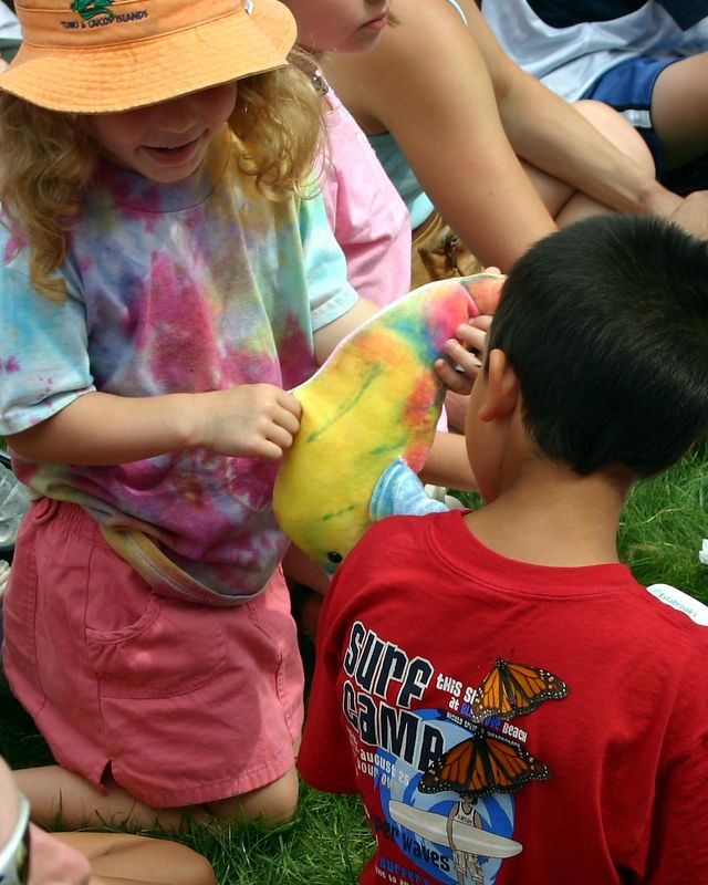 Photography by jmbaggs for DesignCrowd (Community Contests) | Design #9114548