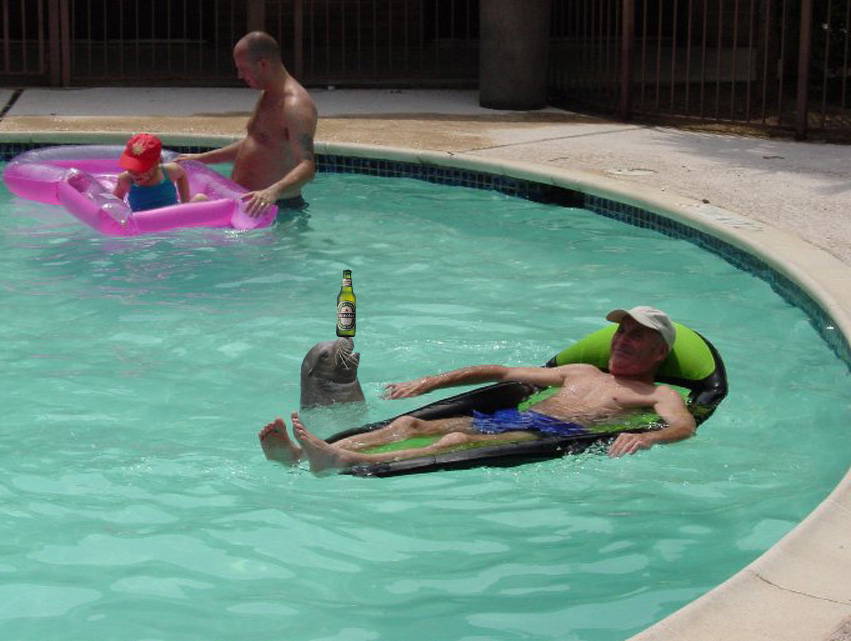 Design Photoshop par godzillatemple pour DesignCrowd (Community Contests) | Design #9117596